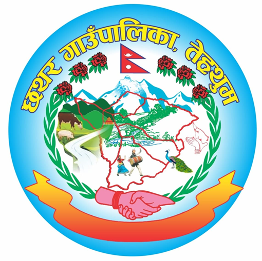 Local Government Logo